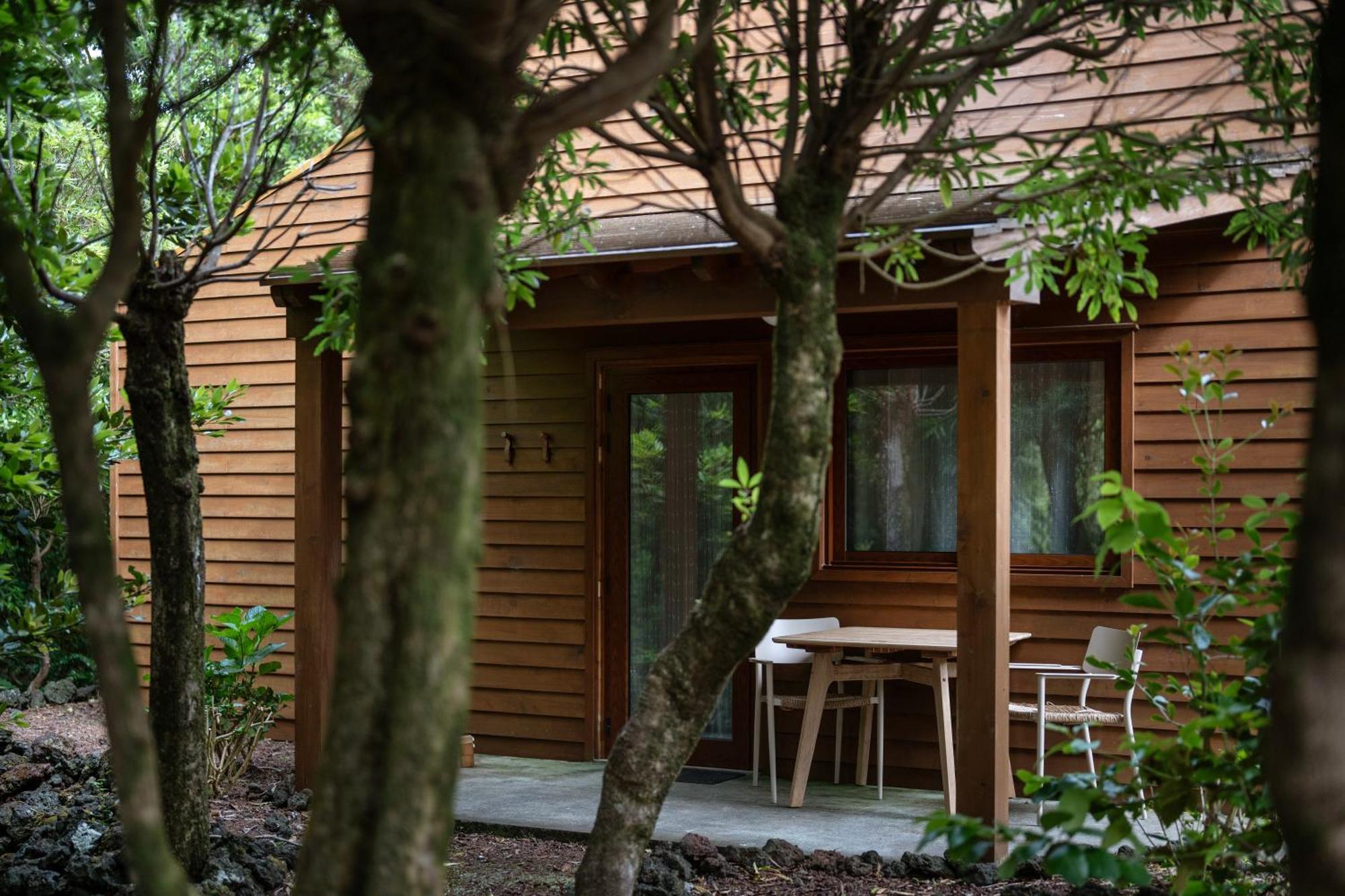 Alma Do Pico - Nature Residence Madalena  Exteriör bild