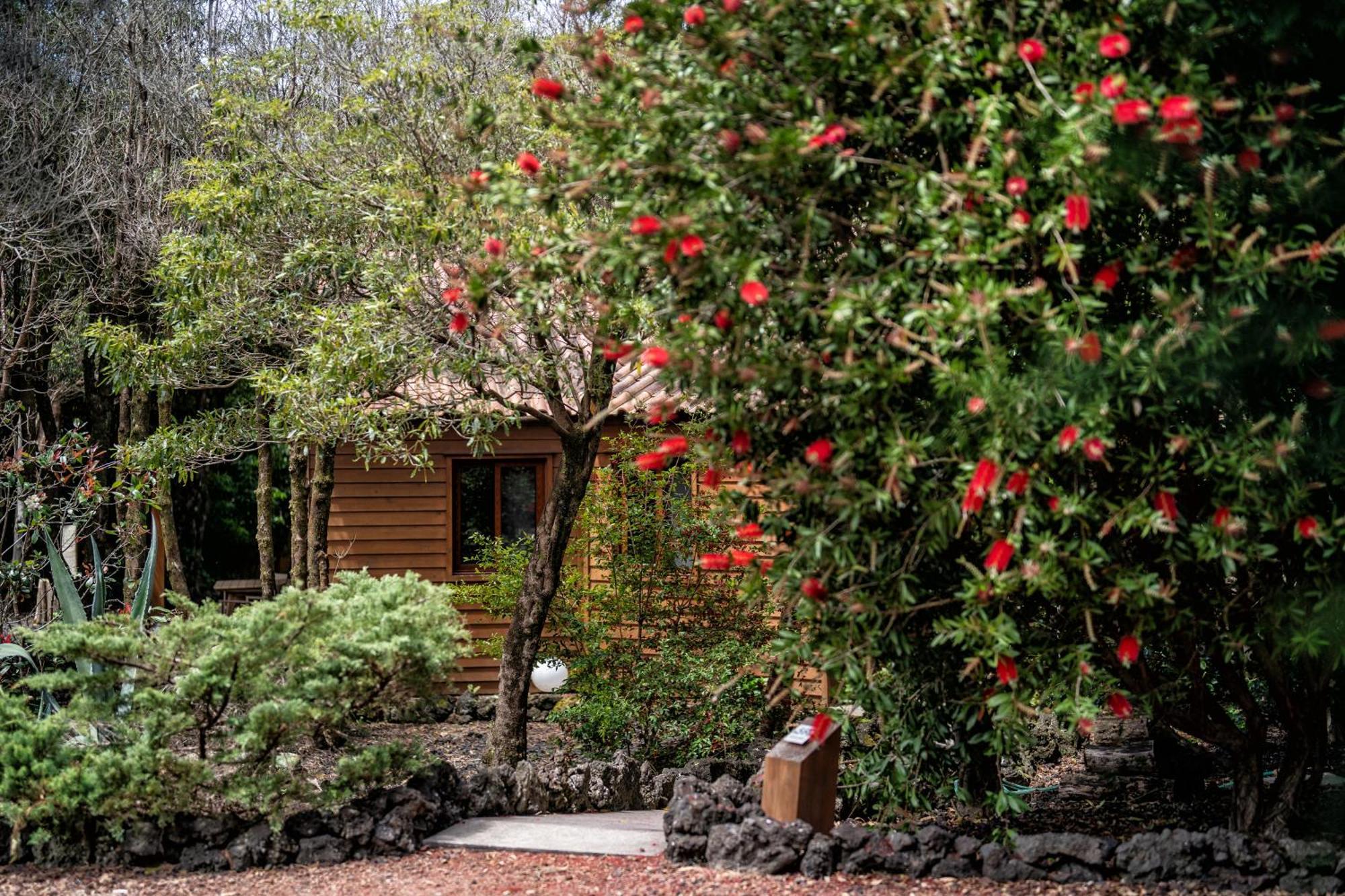 Alma Do Pico - Nature Residence Madalena  Exteriör bild