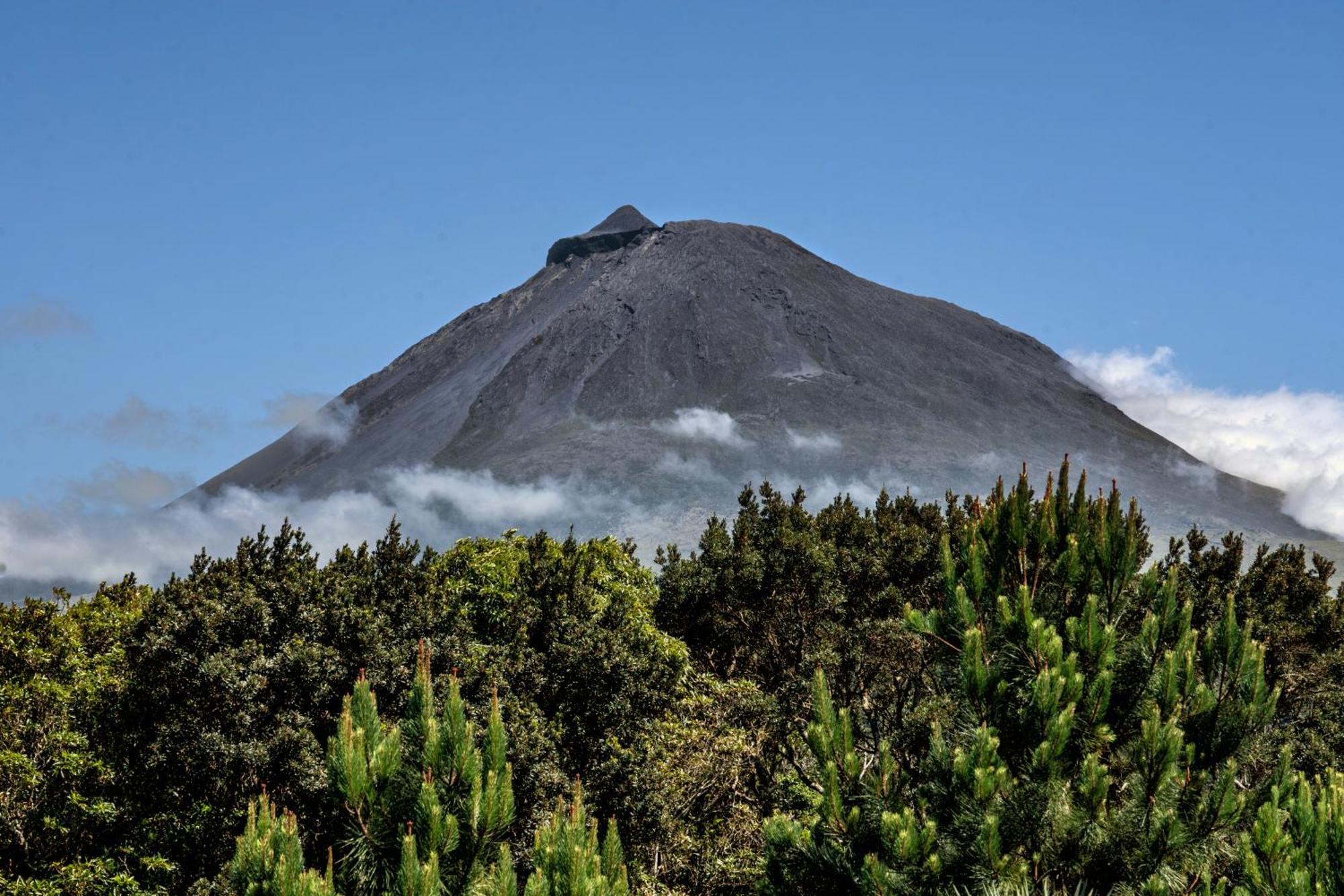 Alma Do Pico - Nature Residence Madalena  Exteriör bild