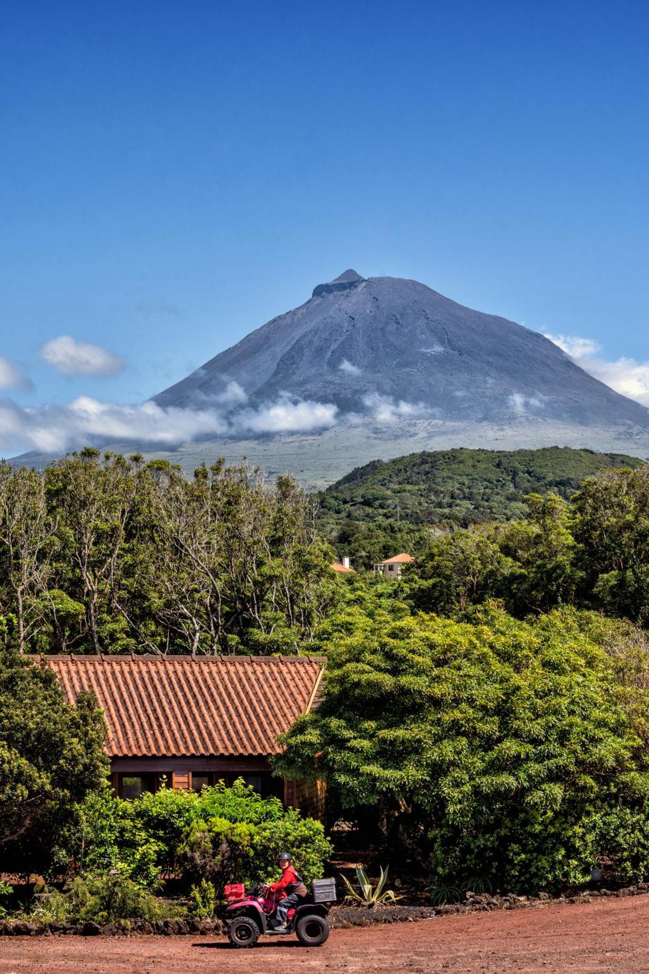 Alma Do Pico - Nature Residence Madalena  Exteriör bild