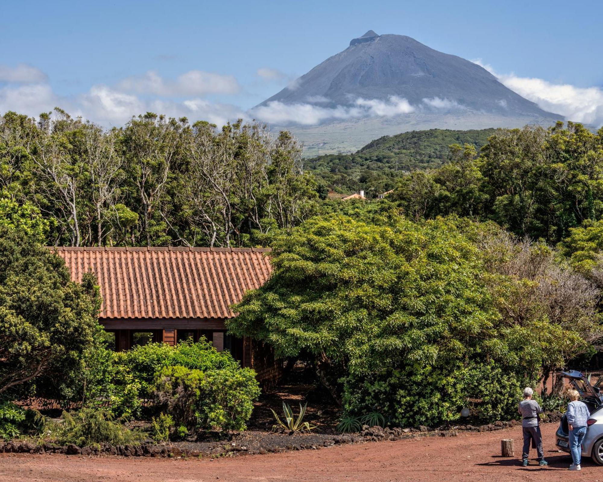 Alma Do Pico - Nature Residence Madalena  Exteriör bild