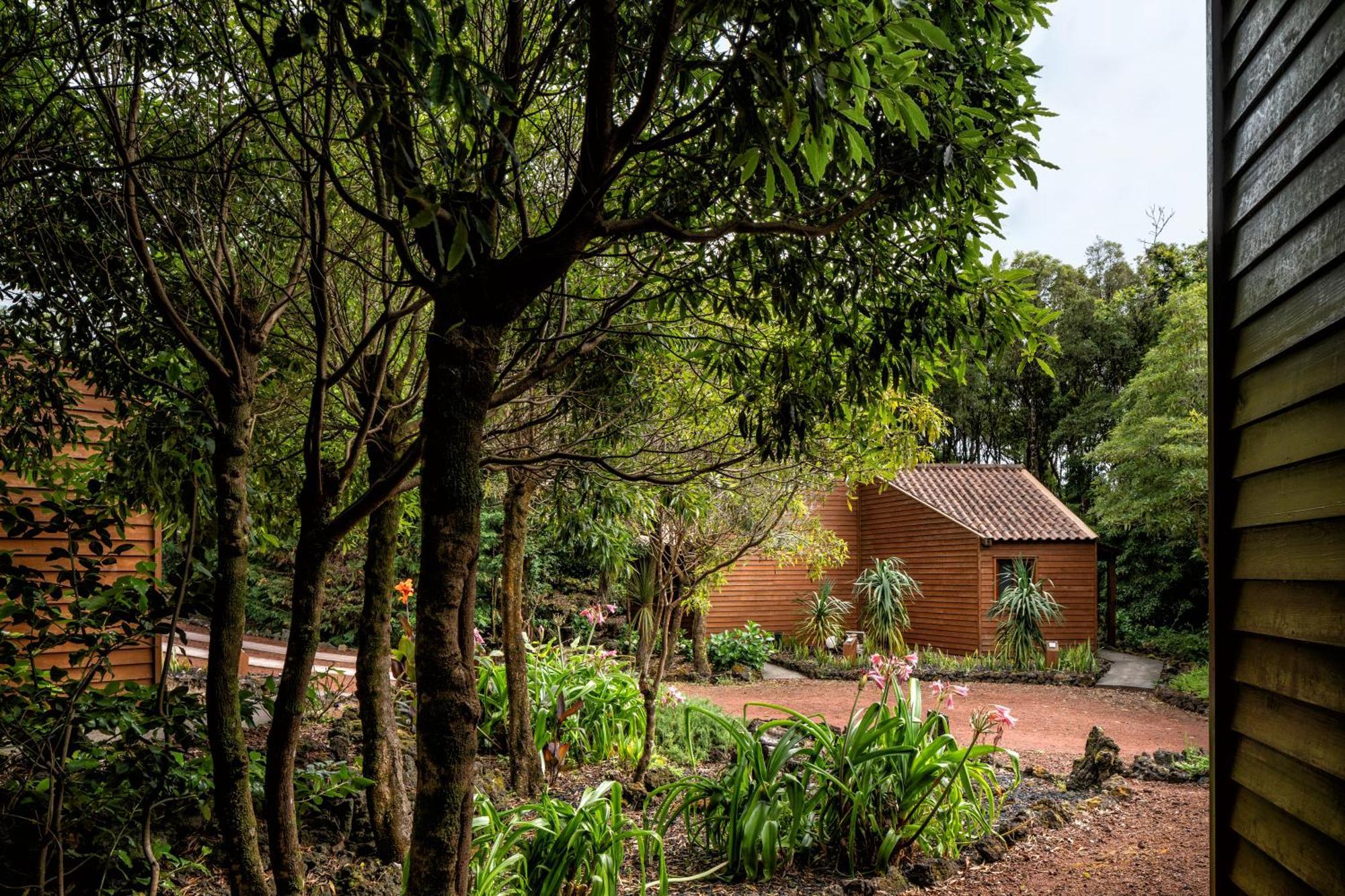 Alma Do Pico - Nature Residence Madalena  Exteriör bild