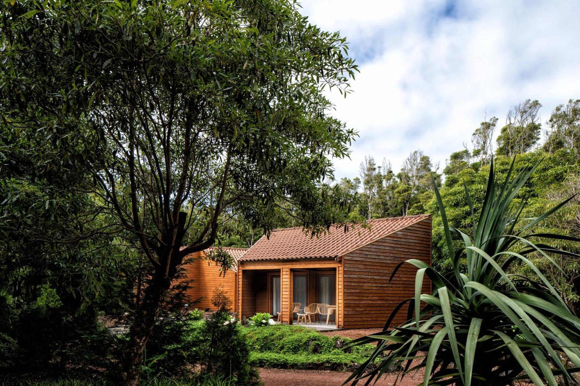 Alma Do Pico - Nature Residence Madalena  Exteriör bild