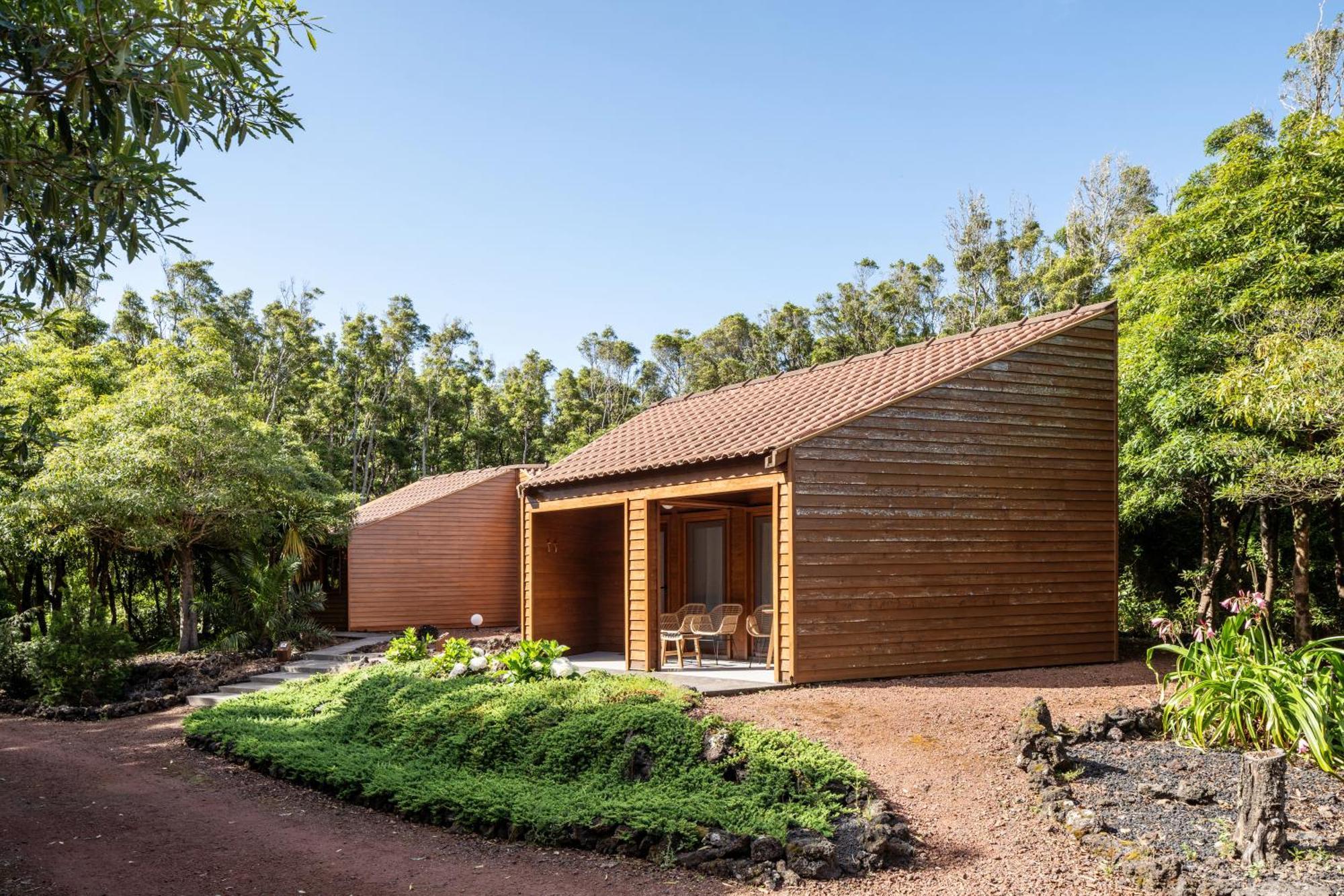 Alma Do Pico - Nature Residence Madalena  Exteriör bild