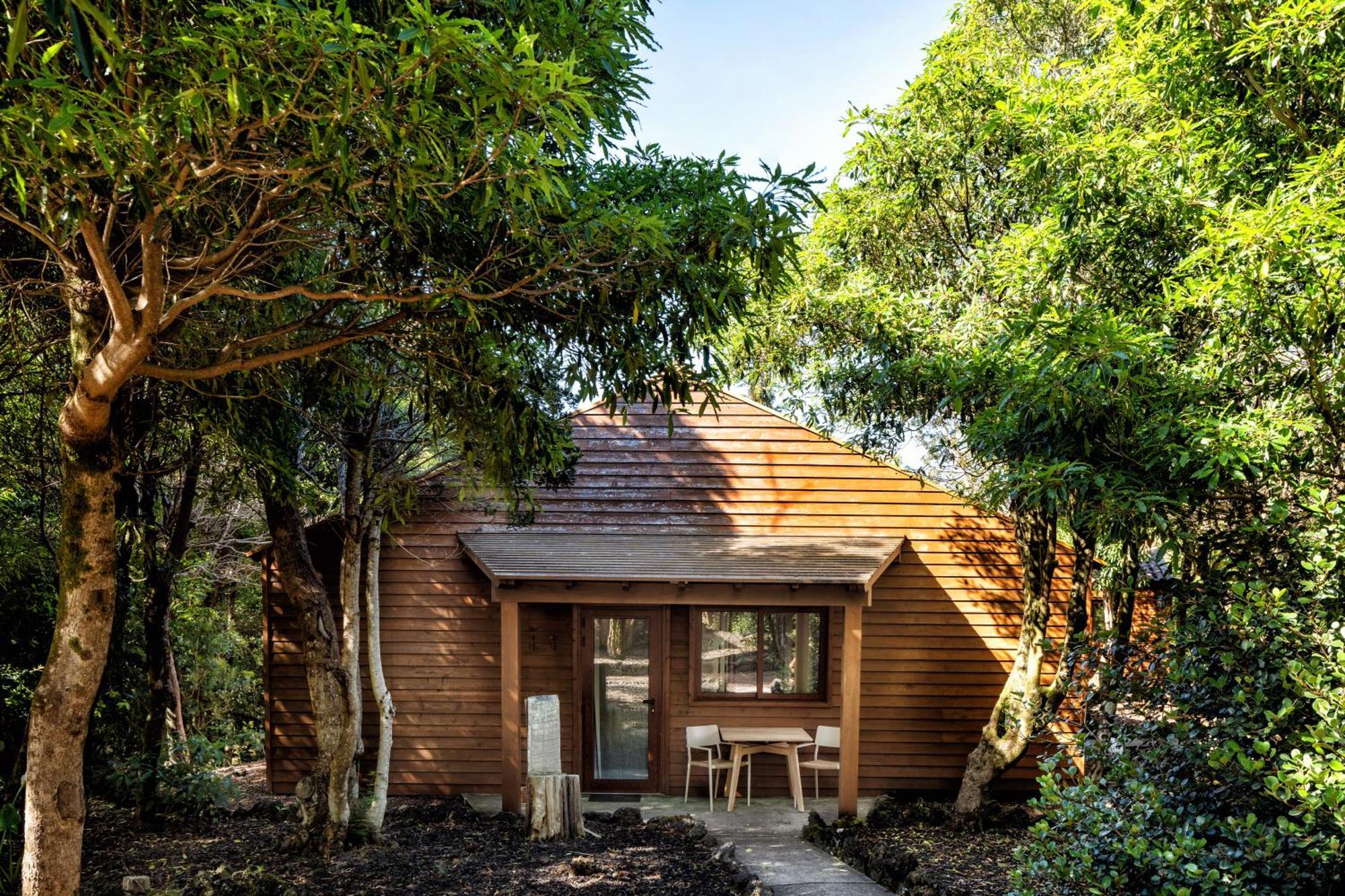 Alma Do Pico - Nature Residence Madalena  Exteriör bild