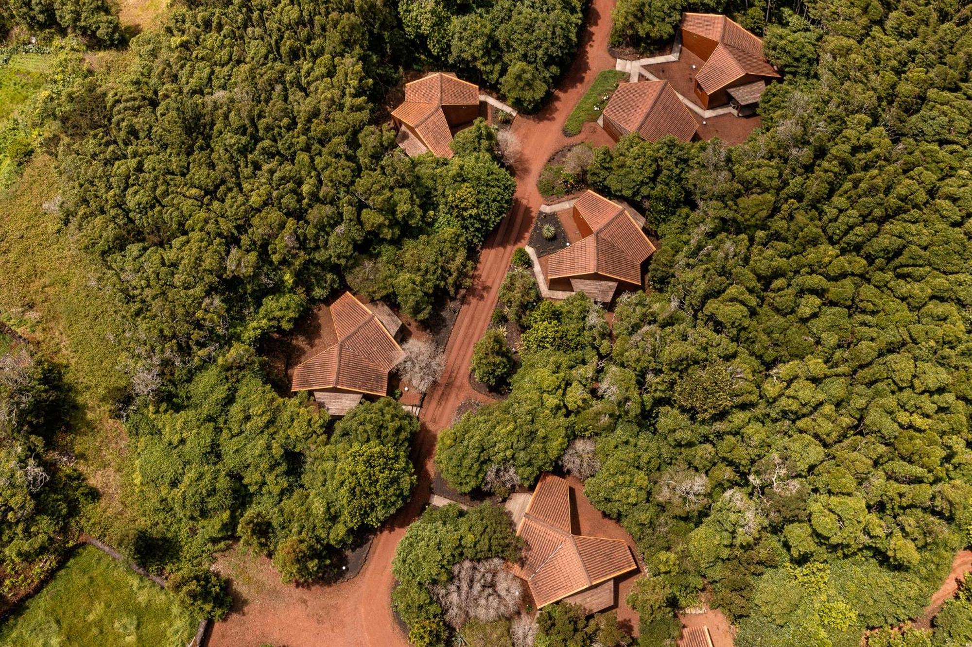 Alma Do Pico - Nature Residence Madalena  Exteriör bild