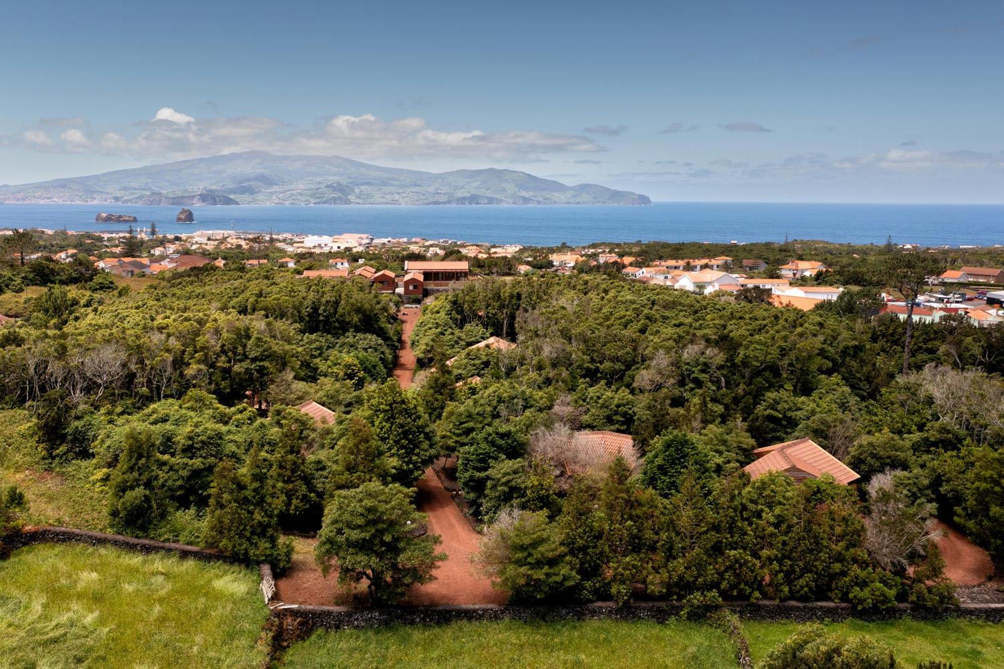 Alma Do Pico - Nature Residence Madalena  Exteriör bild