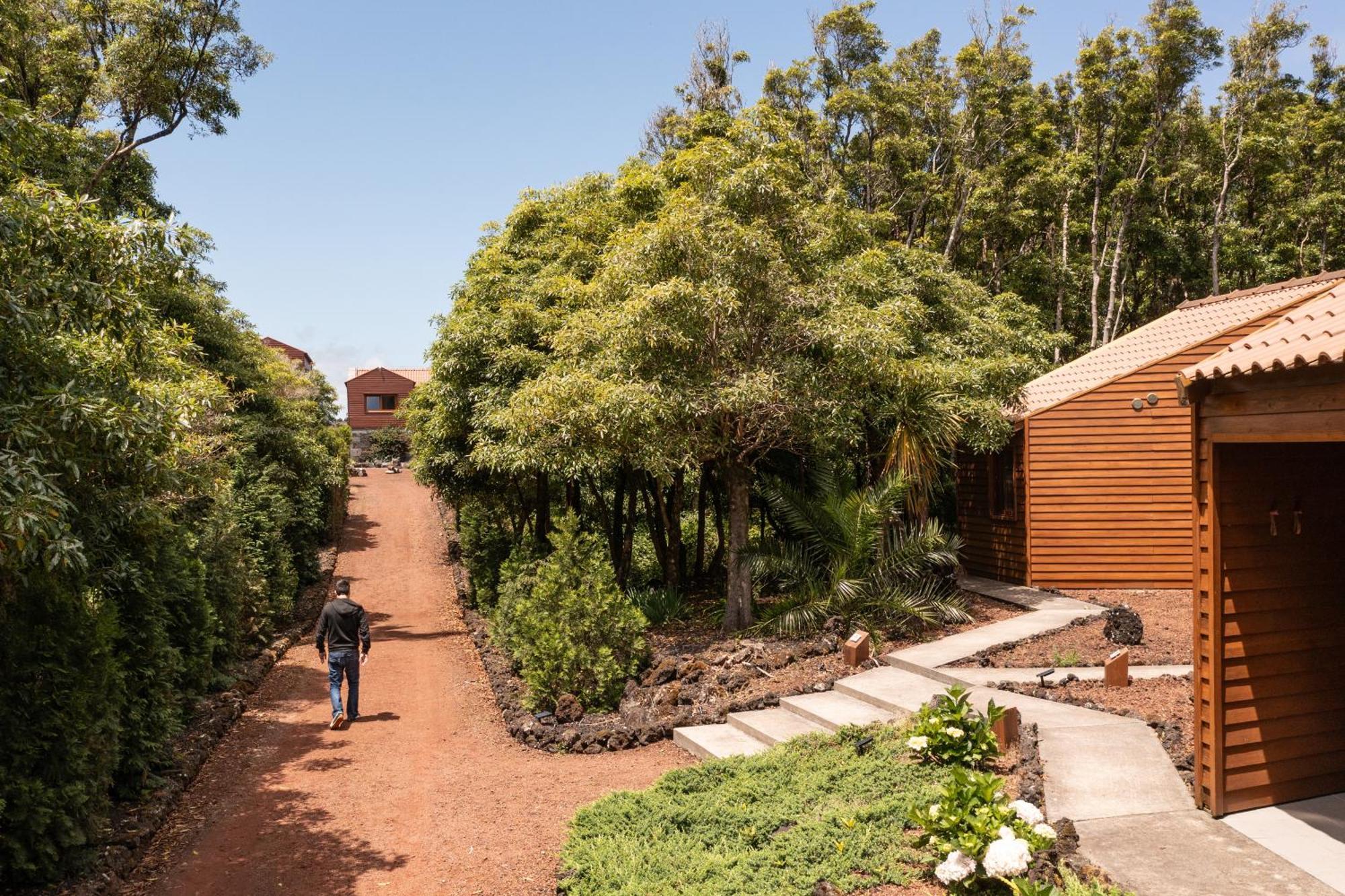 Alma Do Pico - Nature Residence Madalena  Exteriör bild