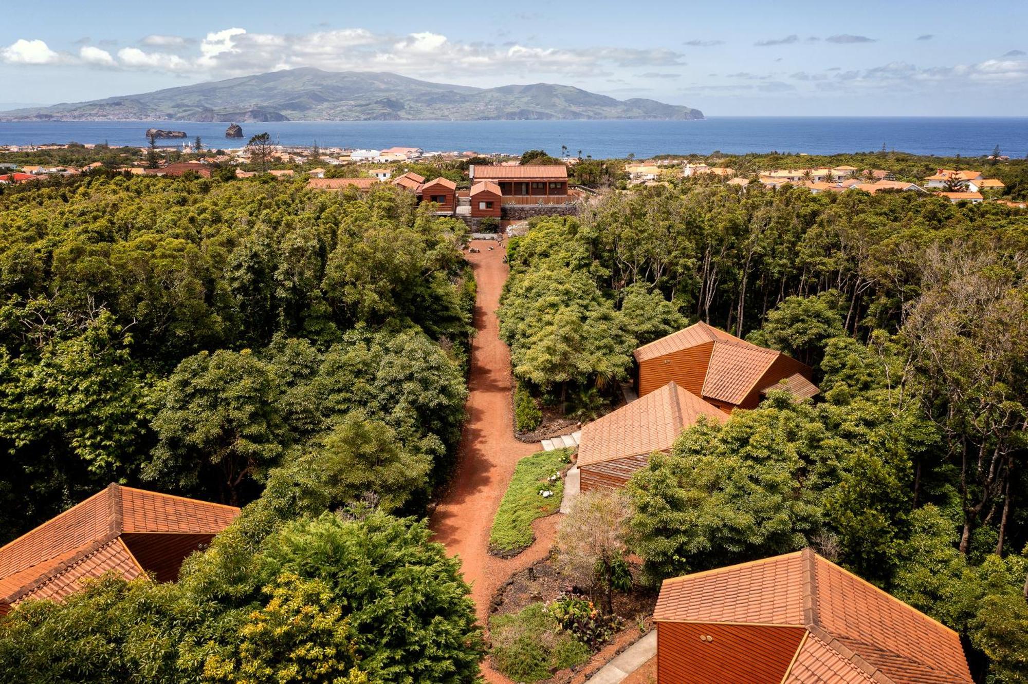 Alma Do Pico - Nature Residence Madalena  Exteriör bild